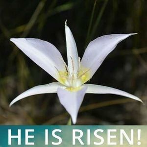 Meet your Posher, Darlene